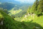 2014-07-05_Laengental-N-Hochweg (767). JPG